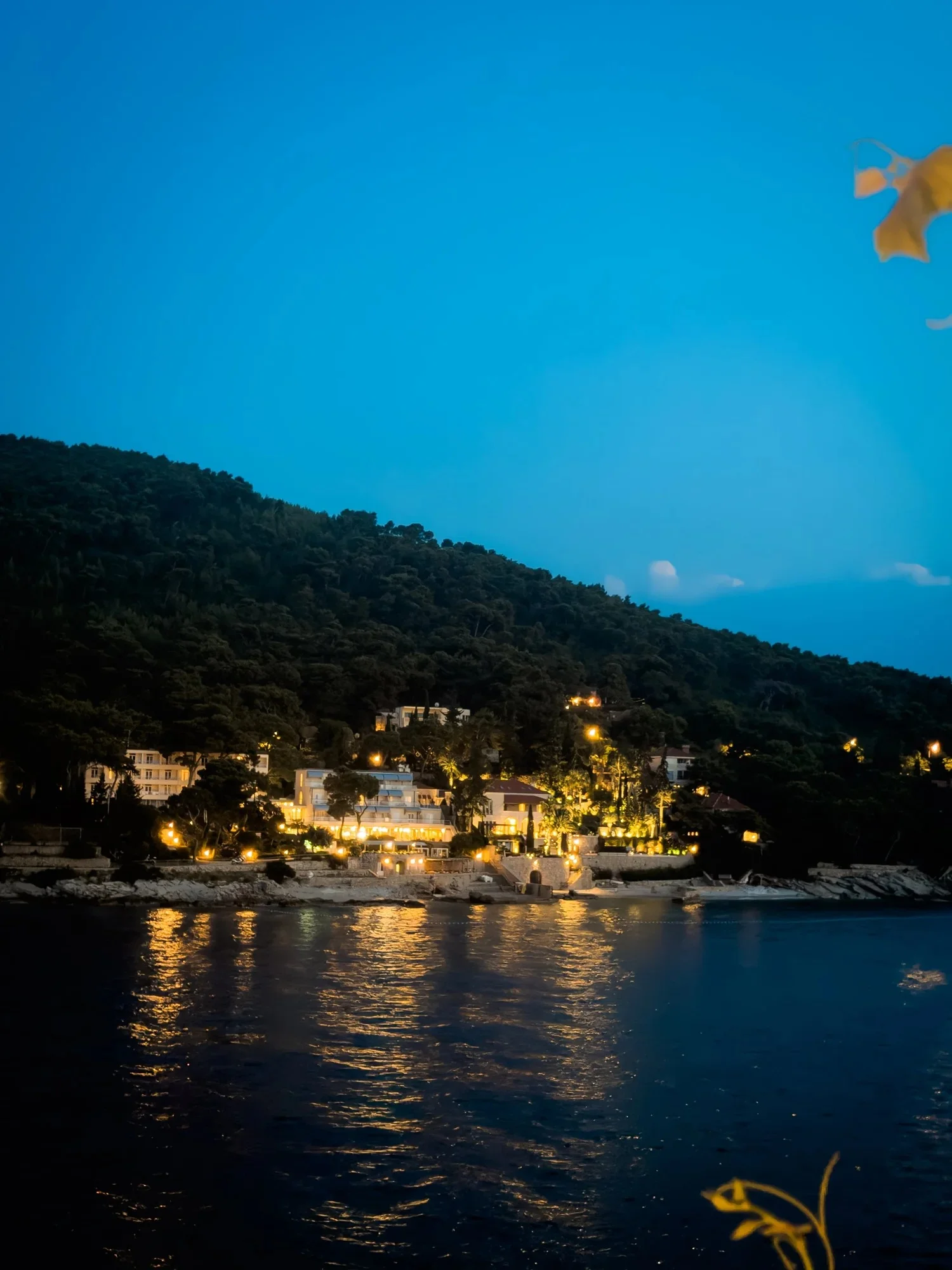 Evening lights reflected in Lapad Bay from Restaurant More