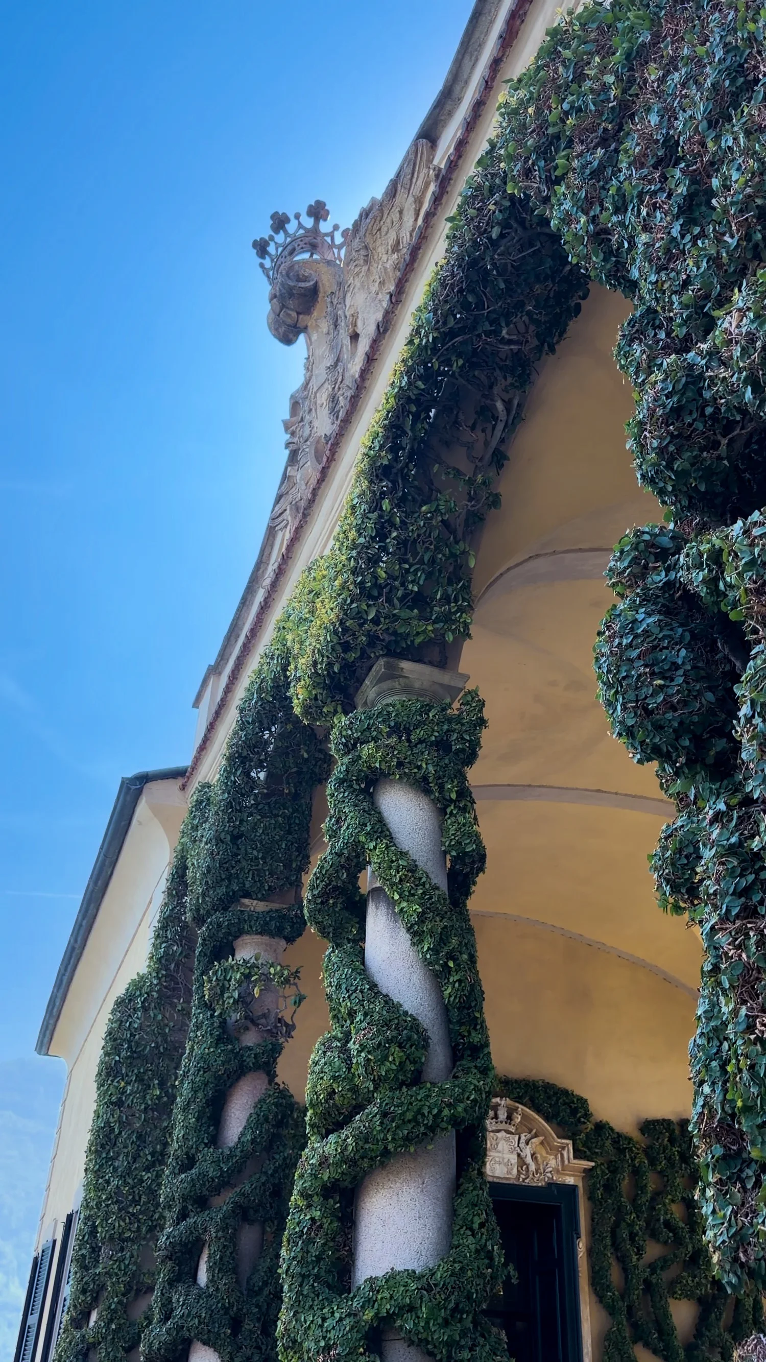 A villa colonnade covered with climbing greenery.