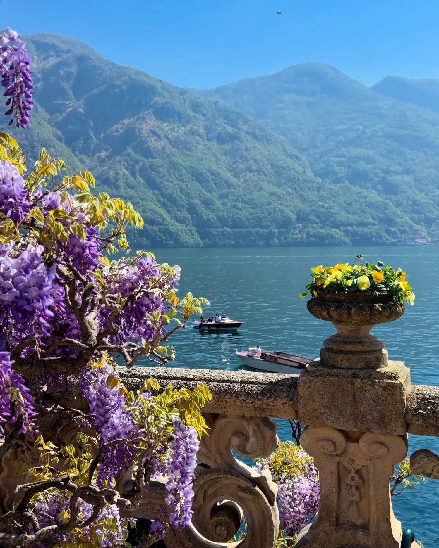 Purple flowers and stone planters overlooking a lake and mountains.