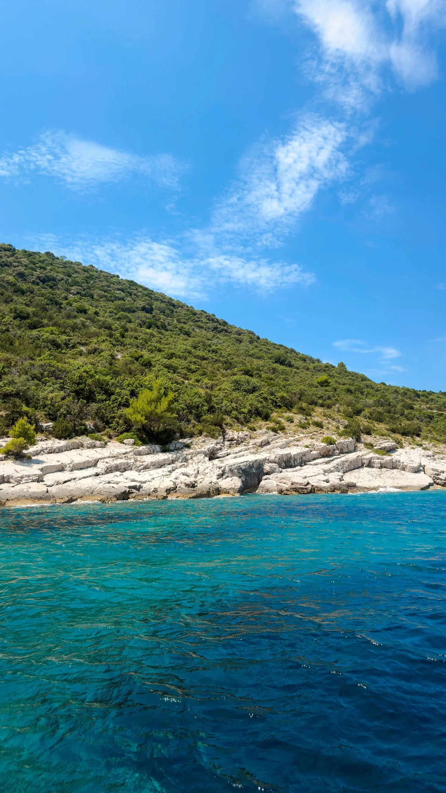 Rocky coastline covered in green vegetation beside blue water.