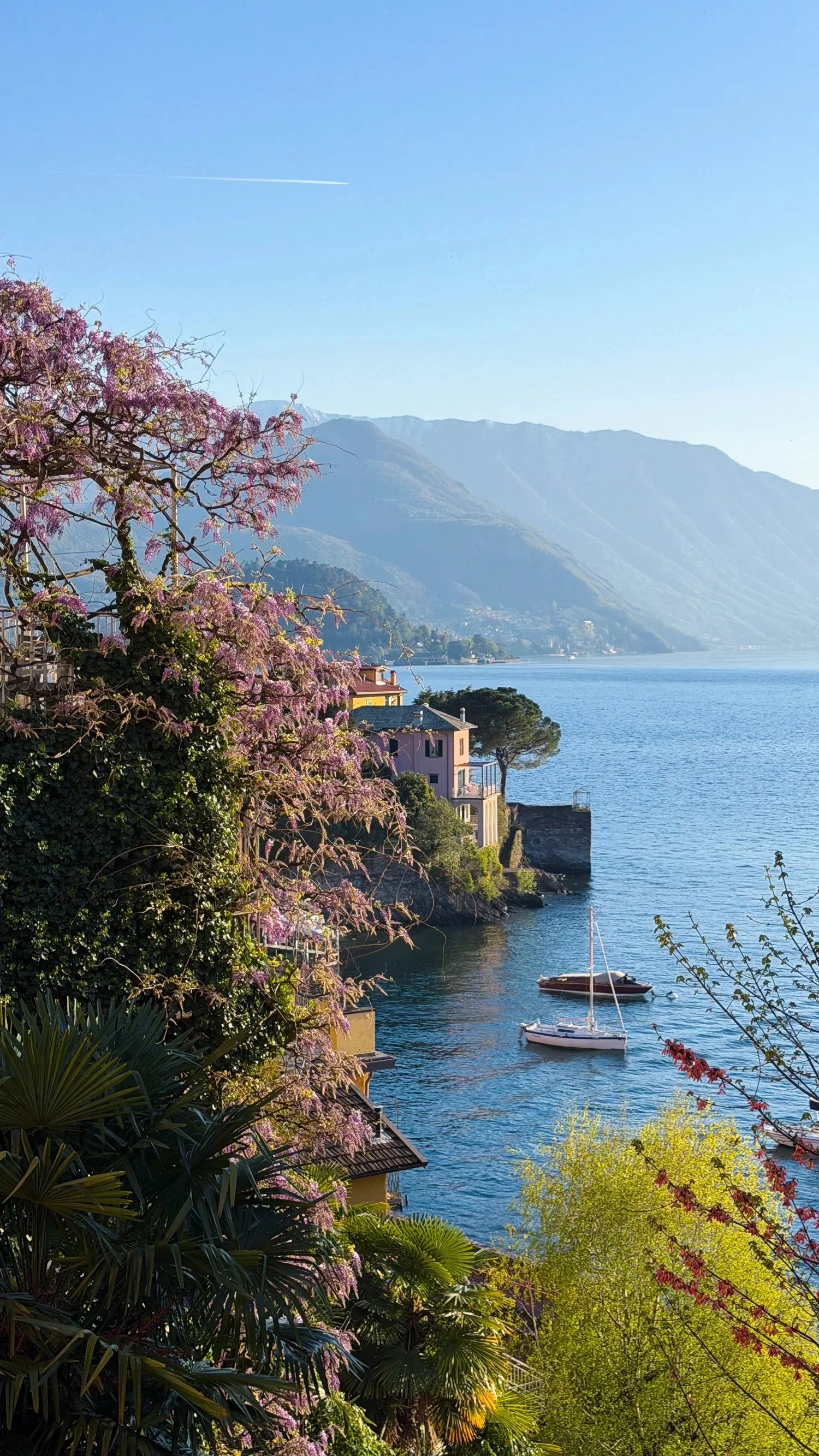Pink blossoms above a lake, small boats and distant mountains.
