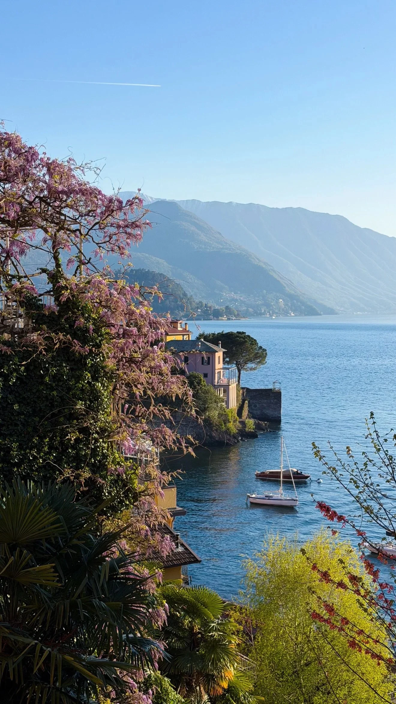 Flowering trees framing a lakeside village and distant mountains.